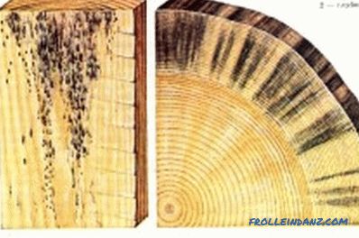 Ochrona konstrukcji drewnianych przed gniciem i grzybami: zalecenia