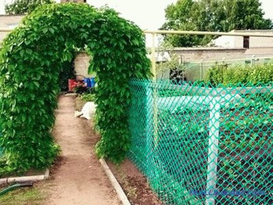 Jak wybrać siatkę ogrodową do ogrodzenia