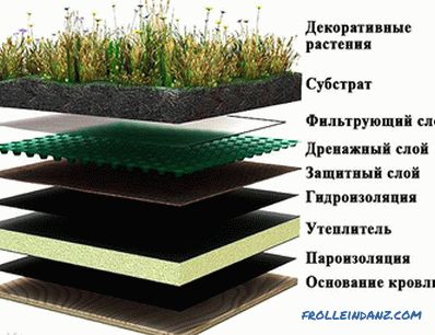 Jak zrobić trawnik na dachu