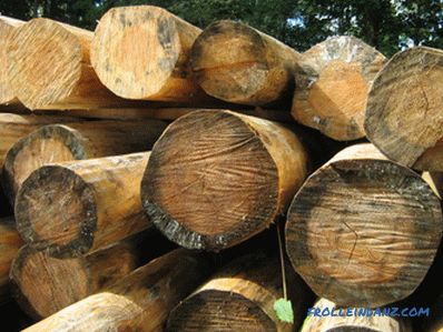Jak leczyć drewno z pleśni i pleśni?