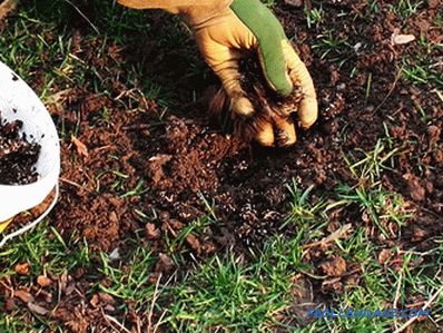 Jak dbać o trawnik - zasady pielęgnacji trawnika przez cały rok